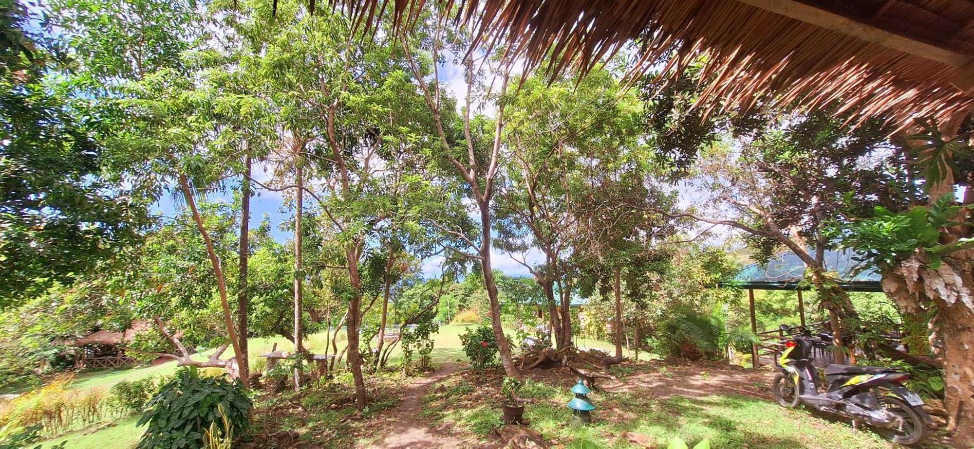 Om Horizon Ecoresort Tayong ภายนอก รูปภาพ